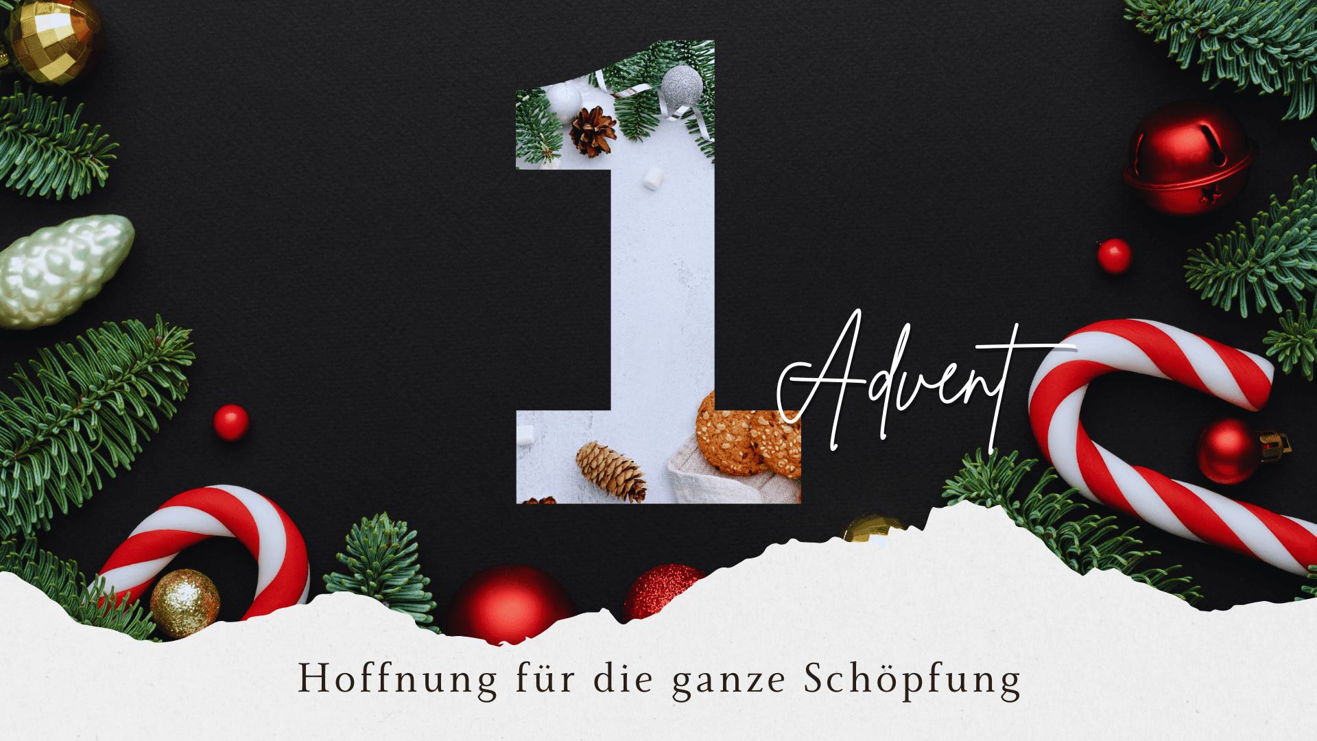 Hoffnung für die ganze Schöpfung